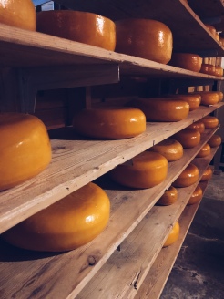 Dutch Cheese Farmer